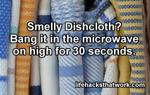 dishcloth